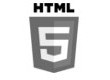 html5